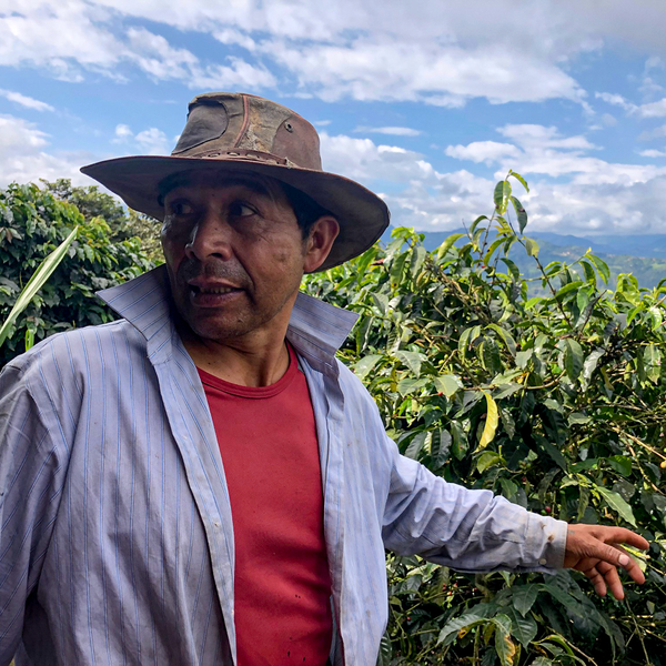 ECUADOR: LA CAROLINA