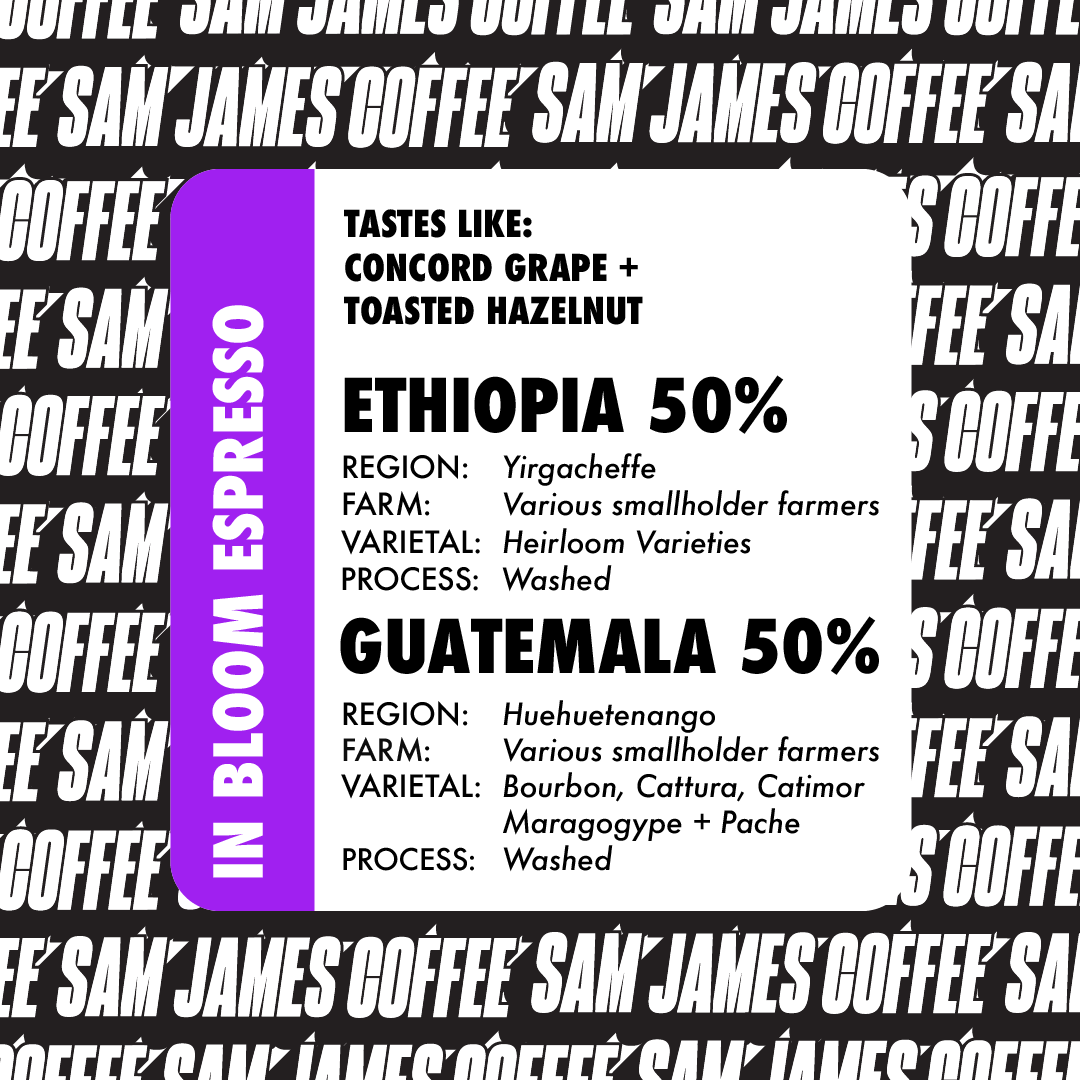 KG Coffees: 5lb. Bag - Bulk Price - Shop Now – Kafes Guatemala