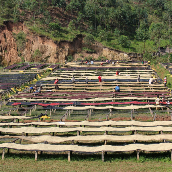 BURUNDI: KIBINGO