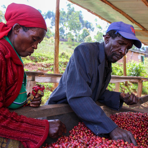 BURUNDI: KIBINGO