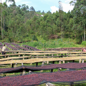 BURUNDI: KIBINGO