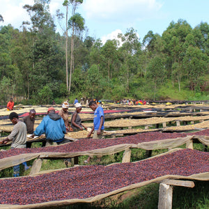BURUNDI: KIBINGO