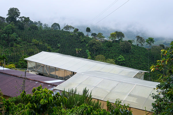 COLOMBIA: SAN AGUSTÍN
