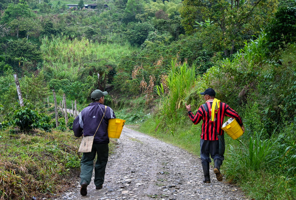 COLOMBIA: SAN AGUSTÍN