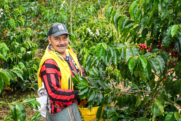 COLOMBIA: SAN AGUSTÍN