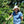 COSTA RICA: LAS LAJAS