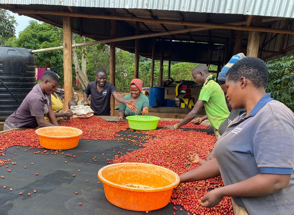 UGANDA: KIGEZI VALLEY