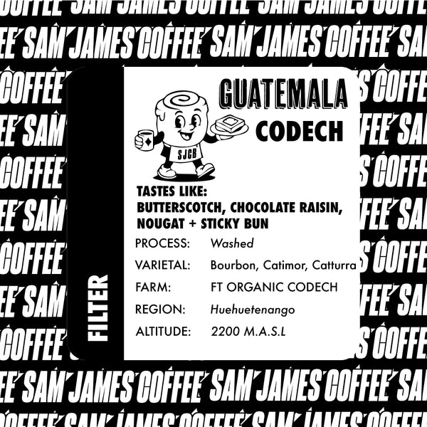 GUATEMALA: CODECH