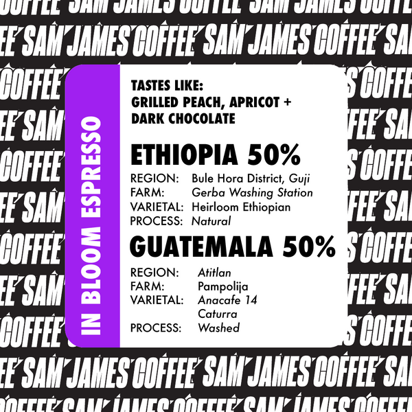 ESPRESSO IN BLOOM: ETHIOPIA + GUATEMALA