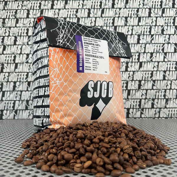 ESPRESSO IN BLOOM: ETHIOPIA + GUATEMALA