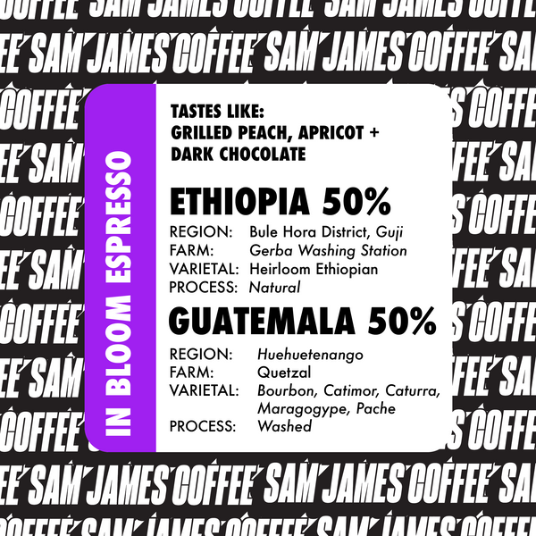 ESPRESSO IN BLOOM: ETHIOPIA + GUATEMALA