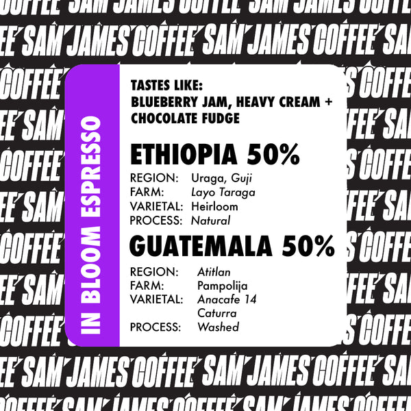 ESPRESSO IN BLOOM: ETHIOPIA + GUATEMALA
