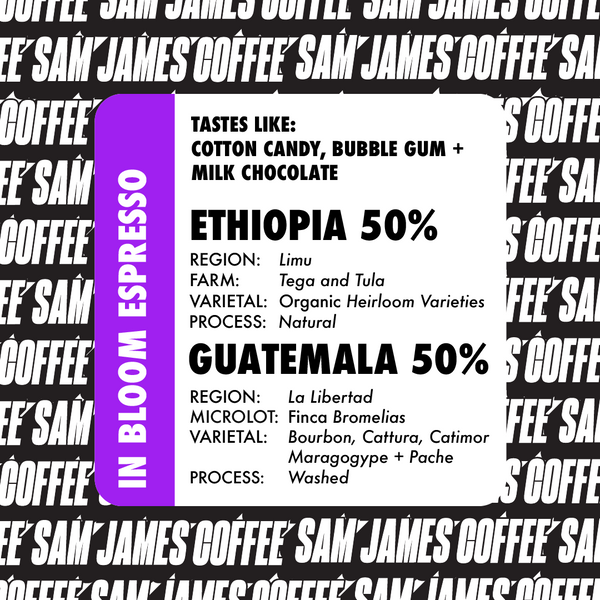 ESPRESSO IN BLOOM: ETHIOPIA + GUATEMALA