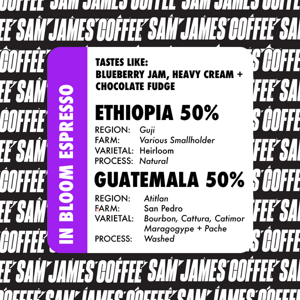 ESPRESSO IN BLOOM: ETHIOPIA + GUATEMALA