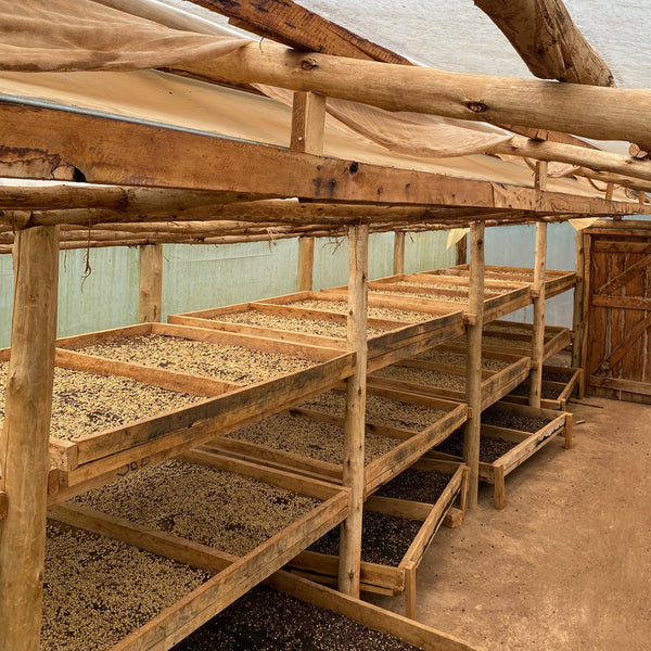 UGANDA: KIGEZI VALLEY