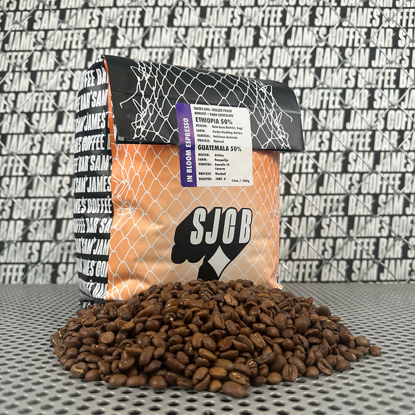 ESPRESSO IN BLOOM: ETHIOPIA + GUATEMALA